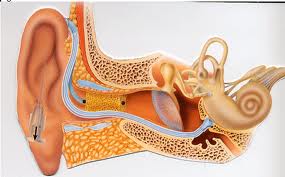 treatment-for-sudden-hearing-loss
